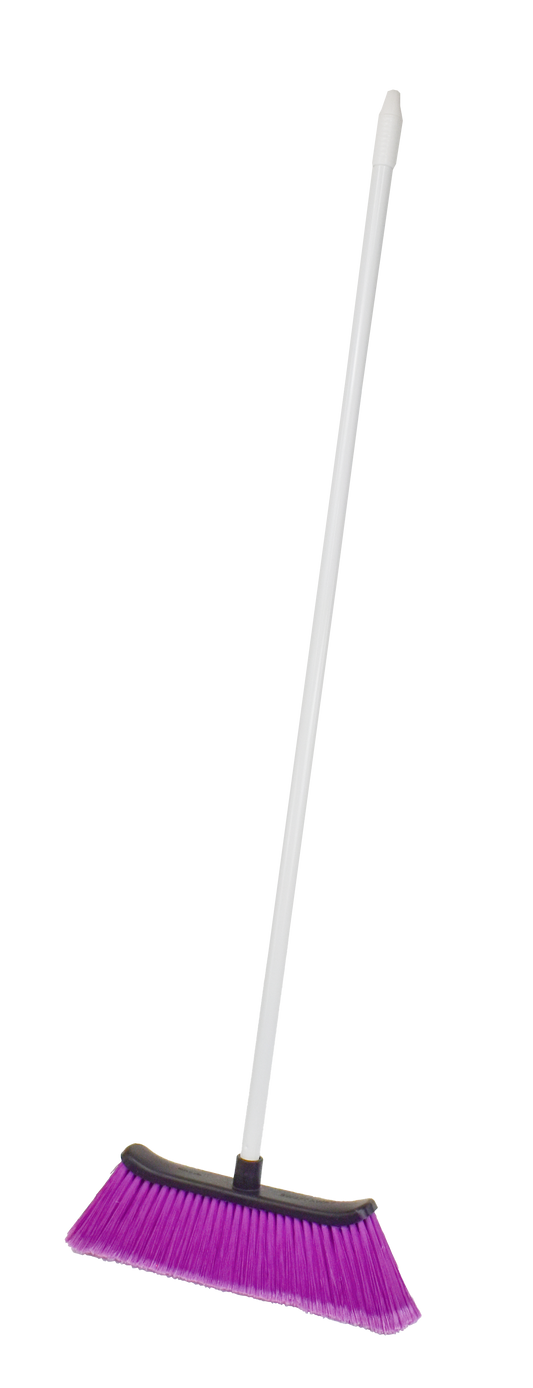 Swept Away Broom with Handle